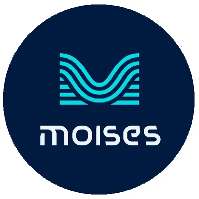 Moises Premium | Подписка на 1–12 месяцев для вашего аккаунта - irongamers.ru