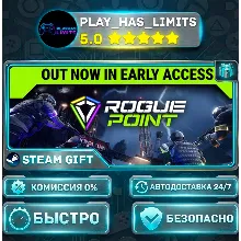 Rogue Point *RU/BY/UA/СНГ Steam Auto