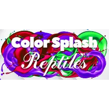 Color Splash: Reptiles (STEAM KEY/REGION FREE)