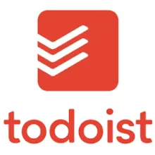 Todoist Pro | Subscription 1/12 months to your account