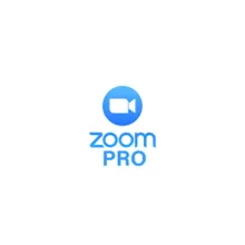 Zoom Pro/Business 1/12 Months