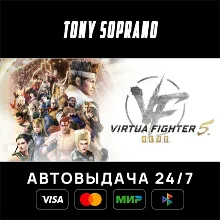 Virtua Fighter 5 R.E.V.O. World Stage - 30th Anniversary Edition STEAM GIFT