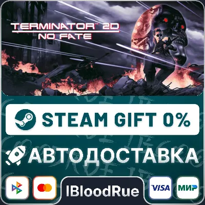 Terminator 2D: NO FATE •РУ +МИР / STEAM АВТО, 0% - irongamers.ru