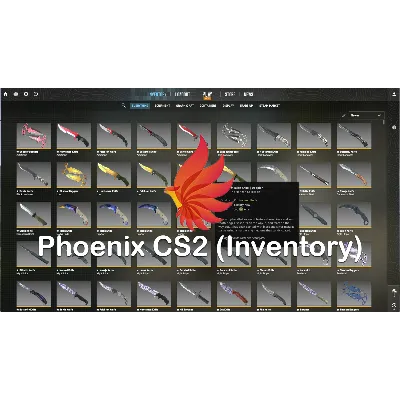 Phoenix CS2 (Inventory) - irongamers.ru