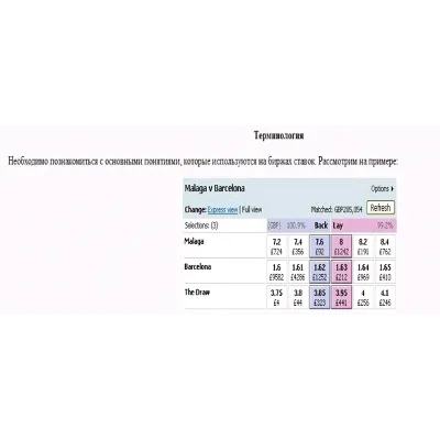 Как иметь гарантированную прибыль на спортивной бирже B - irongamers.ru