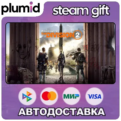 Tom Clancy's The Division 2 Steam Gift / Россия + МИР / АВТО - irongamers.ru