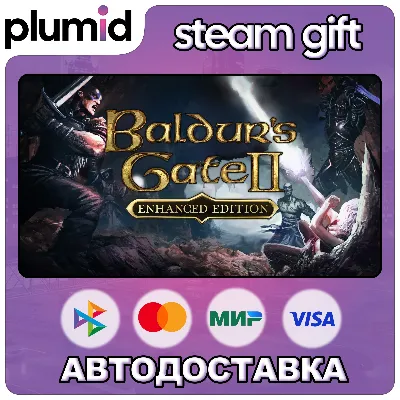 Baldur's Gate II: Enhanced Edition Steam Gift / Россия + МИР / АВТО - irongamers.ru
