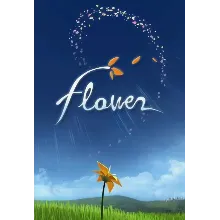 Flower/Steam Ключ / РФ+СНГ