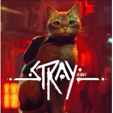 Stray Steam / Ключ / Только Турция