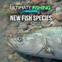 Ultimate Fishing Simulator - New Fish Species /Steam KEY / RU+CIS