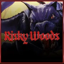 Risky Woods (QUByte Classics) | XBOX | На любой аккаунт