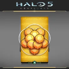 Halo 5: Guardians – 10 Gold REQ Packs + 3 Free | XBOX | На любой аккаунт