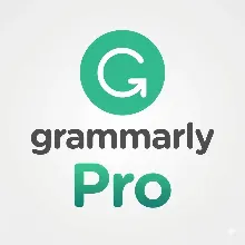 Grammarly Pro 1/3/12 Months Subscription to Your Account