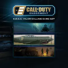Call of Duty®: Black Ops III - C.O.D.E. Valor Calling Cards | XBOX | На любой аккаунт