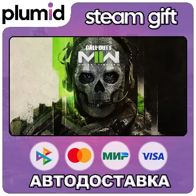 Call of Duty: Modern Warfare II (2) 2022 Steam Gift / МИР / АВТО - irongamers.ru
