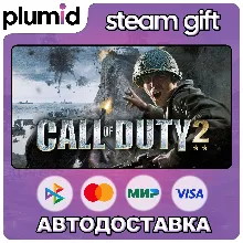 Call of Duty 2 Steam Gift / Россия + МИР / АВТО
