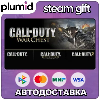 Call of Duty Warchest (2003) Steam Gift / Россия + МИР / АВТО - irongamers.ru