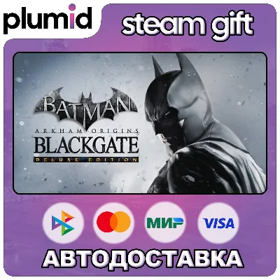 Batman: Arkham Origins Blackgate - Deluxe Edition Steam Gift / Россия + МИР / АВТО - irongamers.ru