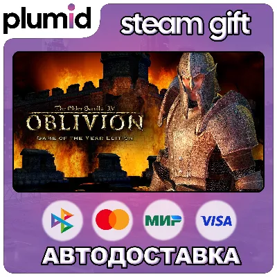 The Elder Scrolls IV: Oblivion Game of the Year Edition (2009) / Россия + МИР / АВТО - irongamers.ru
