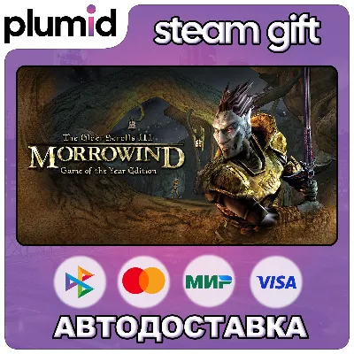 The Elder Scrolls III: Morrowind GOTY Edition Steam Gift / Россия + МИР / АВТО - irongamers.ru