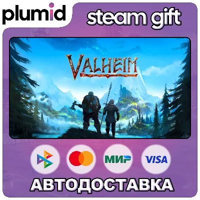 Valheim Steam Gift / Россия + МИР / АВТО - irongamers.ru