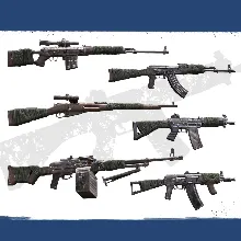 Insurgency: Sandstorm - Rust & Wrap Weapon Skin Set | XBOX+PC | На любой аккаунт