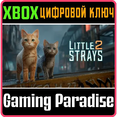 LITTLE STRAYS 2 XBOX КЛЮЧ/КОД - irongamers.ru
