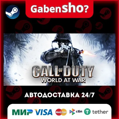 Call of Duty: World at War СТИМ Steam Gift - irongamers.ru