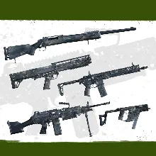 Insurgency: Sandstorm - Night Raven Weapon Skin Set | XBOX+PC | На любой аккаунт