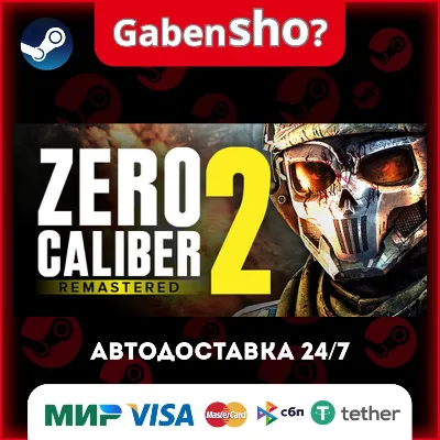 Zero Caliber 2 Remastered Steam Gift - irongamers.ru
