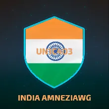 ИНДИЯ AMNEZIA WG VPN AMNEZIAWG ЛИЧНЫЙ СЕРВЕР