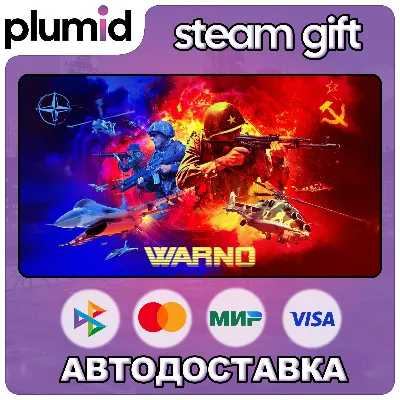 WARNO Steam Gift / Россия + МИР / АВТО - irongamers.ru
