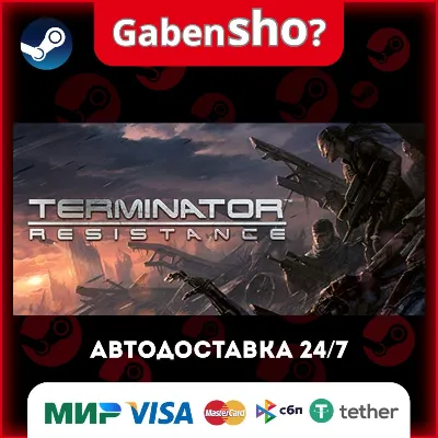 Terminator: Resistance СТИМ Steam Gift - irongamers.ru