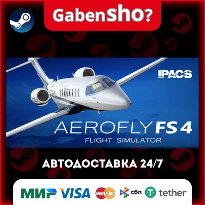 Aerofly FS 4 Flight Simulator СТИМ Steam Gift - irongamers.ru