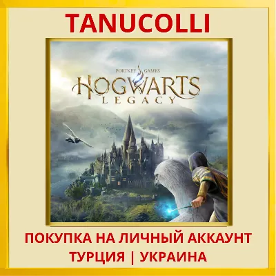 Хогвартс. Наследие Hogwarts Legacy PS4/PS5/PS Турция/Украина - irongamers.ru