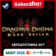 Dragon's Dogma: Dark Arisen СТИМ Steam Gift
