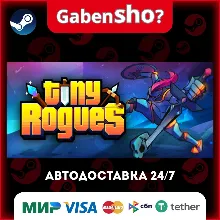 Tiny Rogues СТИМ Steam Gift