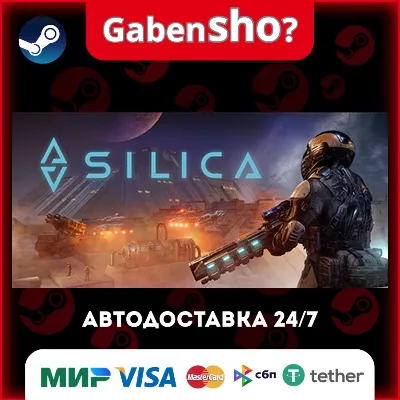 Silica СТИМ Steam Gift - irongamers.ru