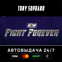 AEW: Fight Forever STEAM GIFT