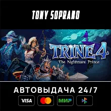 Trine 4: The Nightmare Prince STEAM GIFT