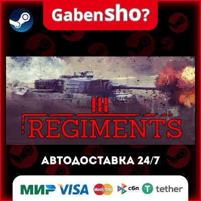 Regiments СТИМ Steam Gift - irongamers.ru