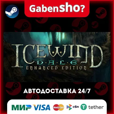 Icewind Dale: Enhanced Edition СТИМ Steam Gift - irongamers.ru
