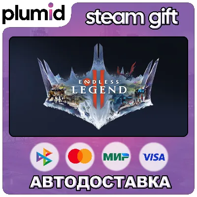 ENDLESS Legend 2 Steam Gift / Россия + МИР / АВТО - irongamers.ru