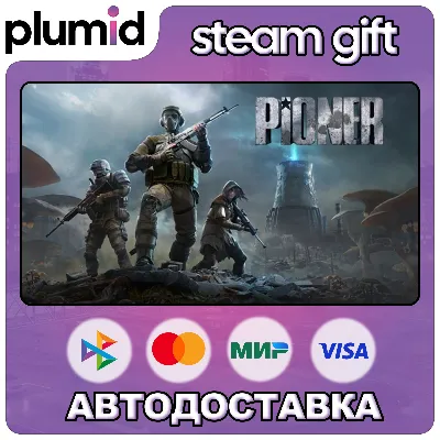 PIONER Steam Gift / МИР / АВТО - irongamers.ru