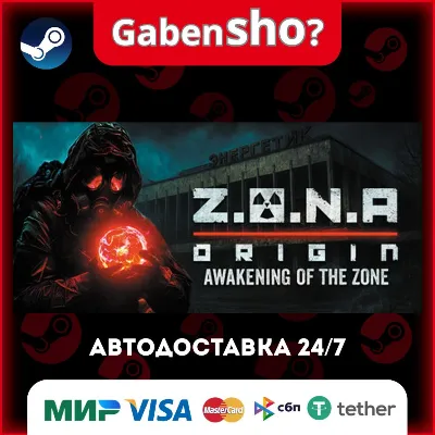 Z.O.N.A: Origin Steam Gift - irongamers.ru