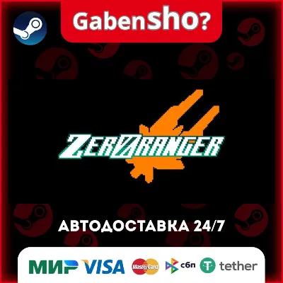 ZeroRanger Steam Gift - irongamers.ru
