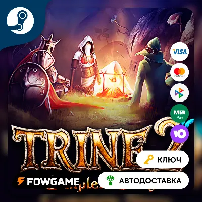 Trine 2: Complete Story (РУ+СНГ) КЛЮЧ STEAM - irongamers.ru