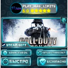 Call of Duty: World at War *RU/BY/UA/СНГ Steam Auto