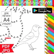 Птица Раскраска По точкам Антистресс для распечатки на принтере и Android