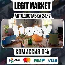 Hozy / Steam АВТО / РУ + МИР